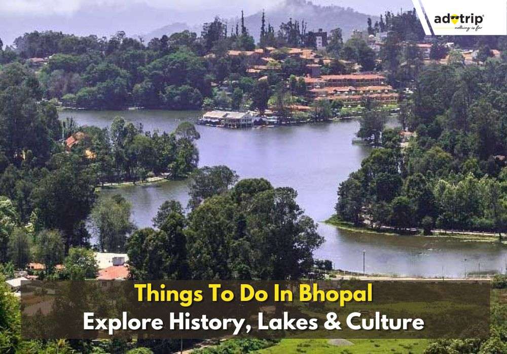 Top 15 Things To Do In Bhopal